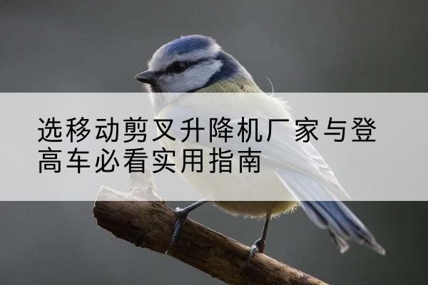 府谷电动升降机厂家-选移动剪叉升降机厂家与登高车必看实用指南