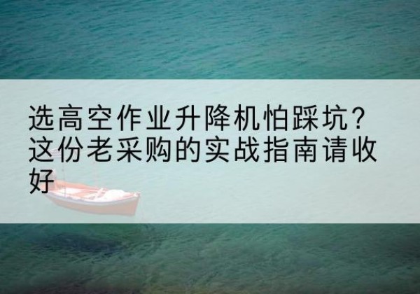 府谷高空作业升降机厂家推荐-选高空作业升降机怕踩坑？这份老采购的实战指南请收好