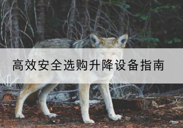 府谷升降货梯厂家推荐-*安全选购升降设备指南