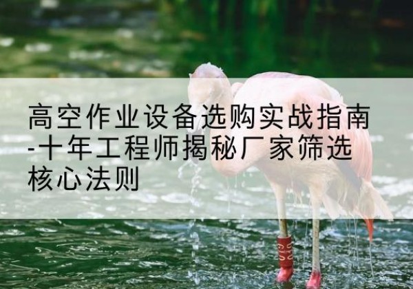 府谷剪叉式升降机厂家-高空作业设备选购实战指南-十年工程师揭秘厂家筛选核心法则